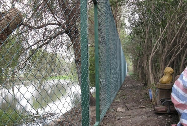 勾花河道護(hù)欄網(wǎng)1