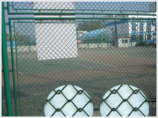 涂塑護(hù)欄網(wǎng)3