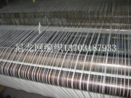 螞蚱養(yǎng)殖網(wǎng)編織2