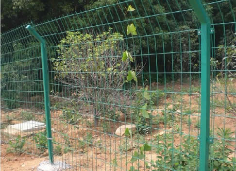 養(yǎng)殖護(hù)欄網(wǎng)3