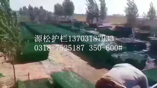 雙邊護(hù)欄網(wǎng)