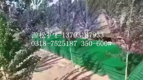 雙邊護(hù)欄網(wǎng)