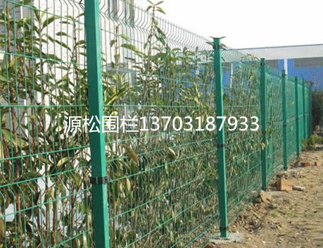 養(yǎng)雞圍欄網