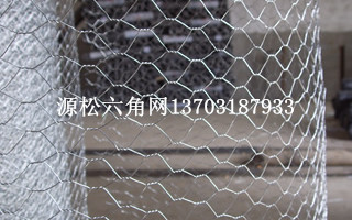 六角網(wǎng)1