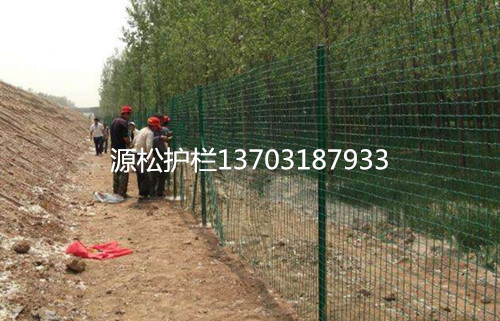 涂塑荷蘭網(wǎng)