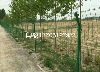 綠色雙邊圍欄網(wǎng)