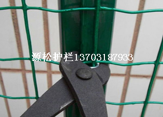 攔雞包膠綠色鐵絲網(wǎng)