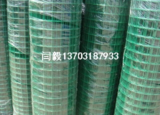 綠色鐵絲網(wǎng)