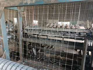 畜牧養(yǎng)殖網(wǎng)