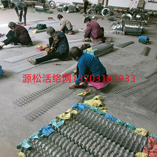 活絡(luò)網(wǎng)